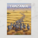 Pesquisar por savana cartoes postais Zebra