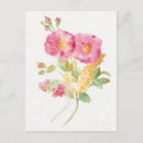 Pesquisar por margaridas azuis cartoes postais Floral