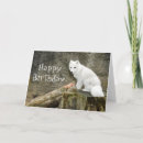 Pesquisar por ártico lobo cartoes Natureza