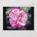 Pesquisar por pink camellia cartoes postais Flor