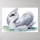 Pesquisar por decoração home pósteres Pássaro