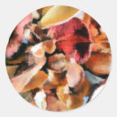 Pesquisar por folhas secas adesivos Qualquer pessoa