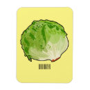 Pesquisar por alface imas Vegetal