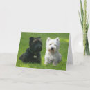 Pesquisar por west highland terrier cartoes Cachorros