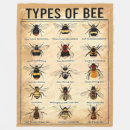 Pesquisar por apicultor mantas Mel