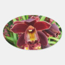 Pesquisar por marrom oval adesivos Flor