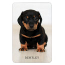 Pesquisar por gato preto imas Qualquer pessoa