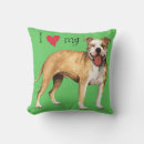 Pesquisar por eu amo meu bull terrier Pitbull