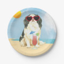 Pesquisar por china plate pratos Para todos