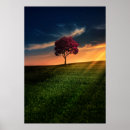Pesquisar por paisagens pósteres Natureza