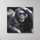 Pesquisar por gorila impressão de canvas Natureza