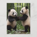 Pesquisar por panda cartoes postais Bambu