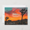 Pesquisar por deserto de mojave cartoes postais Árvore