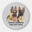Pesquisar por do german shepherd imas Pastor