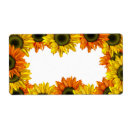 Pesquisar por girassol etiquetas Queda