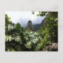Pesquisar por plantas havaianas cartoes postais Havaiano