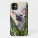 Pesquisar por frenchie iphone capas Engraçado