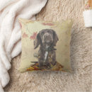 Pesquisar por americano cocker spaniel Outono