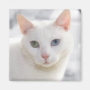 Pesquisar por estranhos imas Animais