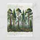 Pesquisar por poem cartoes postais Natureza