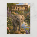 Pesquisar por elefante bebê cartoes postais Para todos