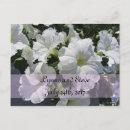 Pesquisar por petúnias convites Floral