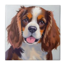 Pesquisar por cocker spaniels azulejos Animal de estimação