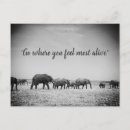 Pesquisar por safari cartoes postais Preto e branco