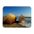 Pesquisar por costas imas Imagem de cor