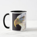 Pesquisar por aves de rapina canecas Haliaeetus leucocephalus