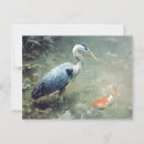 Pesquisar por koi fish cartoes postais Peixe