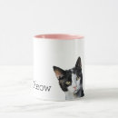 Pesquisar por gatinho branco preto canecas Gatos