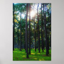Pesquisar por enchanting Verde