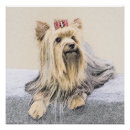 Pesquisar por do yorkshire terrier pôsteres pósteres Cãozinho