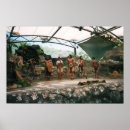 Pesquisar por aborígene pôsteres pósteres Cultura