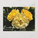 Pesquisar por porte postal amarelo Rosa