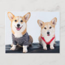 Pesquisar por corgis 2015