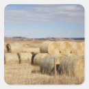 Pesquisar por feno do feno adesivos País