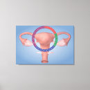 Pesquisar por sistema reprodutivo impressão de canvas Ilustrações biomedicáveis