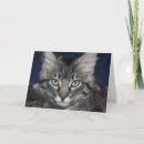 Pesquisar por attitude cartoes Cat