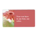 Pesquisar por da margarida etiquetas Rosa