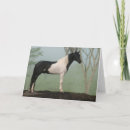 Pesquisar por pinto horse cartoes Stallion