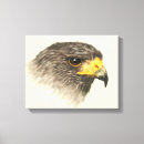 Pesquisar por da falcoaria artes pósteres Falcão