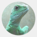 Pesquisar por dragões adesivos Animal