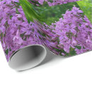 Pesquisar por lila papel de presente Púrpura