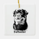 Pesquisar por podre ornamentos Cão