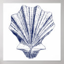 Pesquisar por scallop pôsteres pósteres Natureza