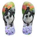 Pesquisar por terrier bebe roupas Para ela