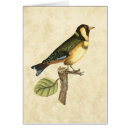 Pesquisar por fundo bege cartoes postais Animal