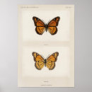 Pesquisar por borboleta vintage pôsteres pósteres Borboletas